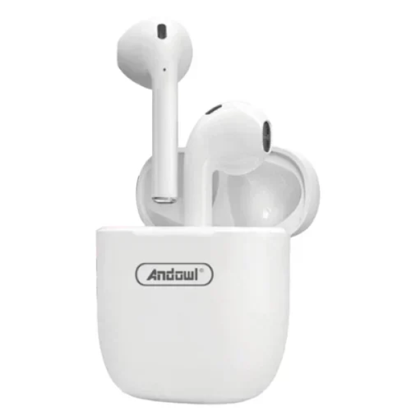 Ασύρματα Ακουστικά Bluetooth 5.3 με Θήκη Φόρτισης Andowl Q-BQS10
