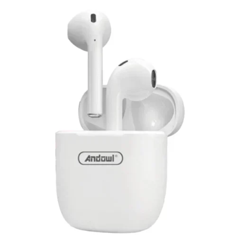 Ασύρματα Ακουστικά Bluetooth 5.3 με Θήκη Φόρτισης Andowl Q-BQS10