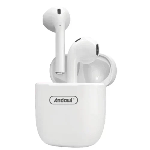 Ασύρματα Ακουστικά Bluetooth 5.3 Με Θήκη Φόρτισης Andowl Q-Bqs10