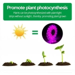 Ταινία LED 3m USB Ανάπτυξης & Καλλιέργειας Φυτών Full Spectrum - Plant Grow Light Strip