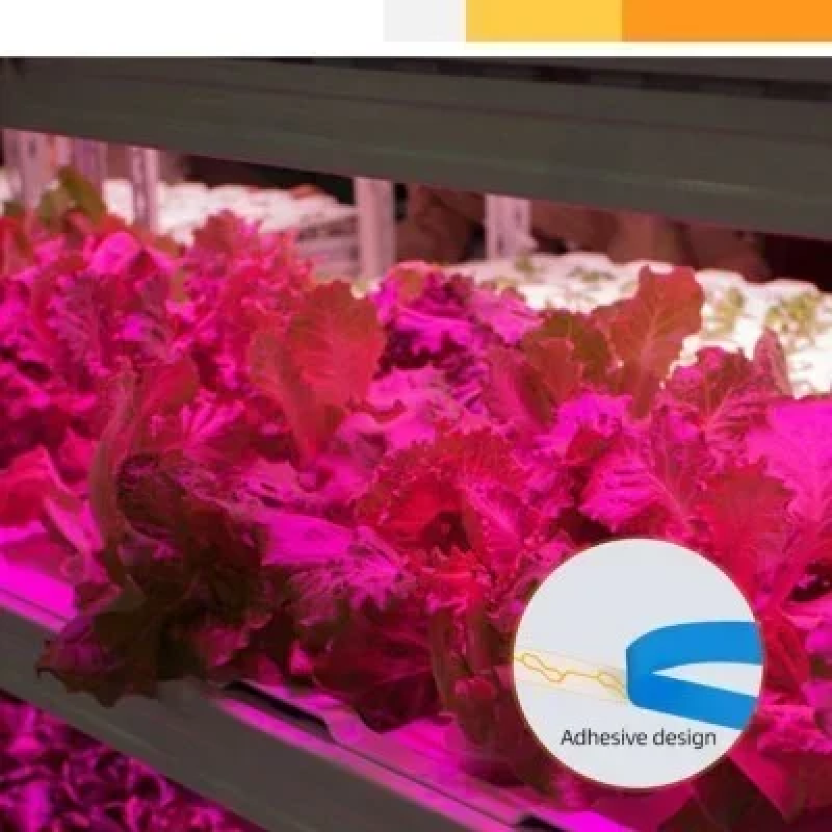 Ταινία LED 3m USB Ανάπτυξης & Καλλιέργειας Φυτών Full Spectrum - Plant Grow Light Strip