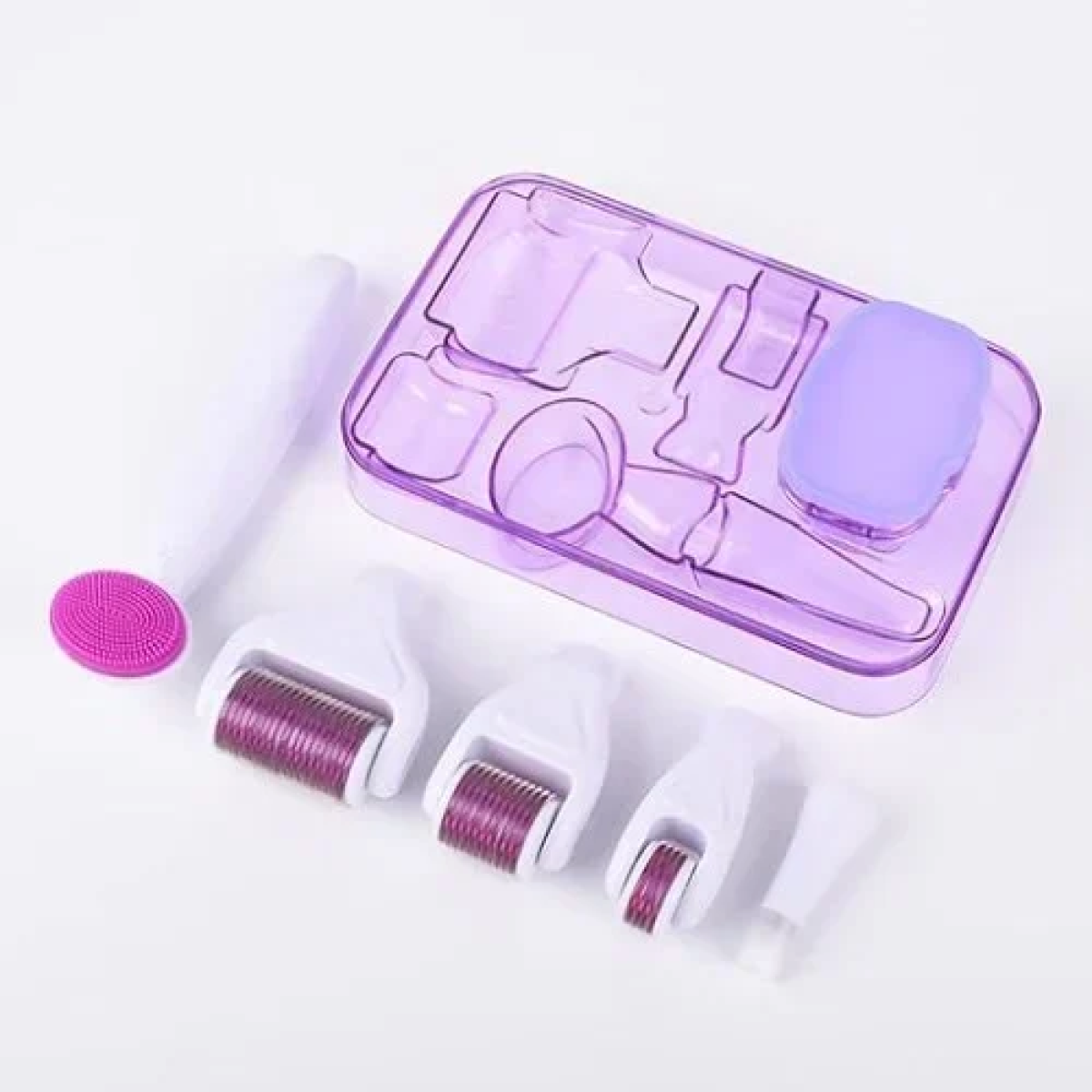 Σετ 6 σε 1 Derma Roller με βελόνες τιτανίου για Αντιγήρανση 0.5-2mm