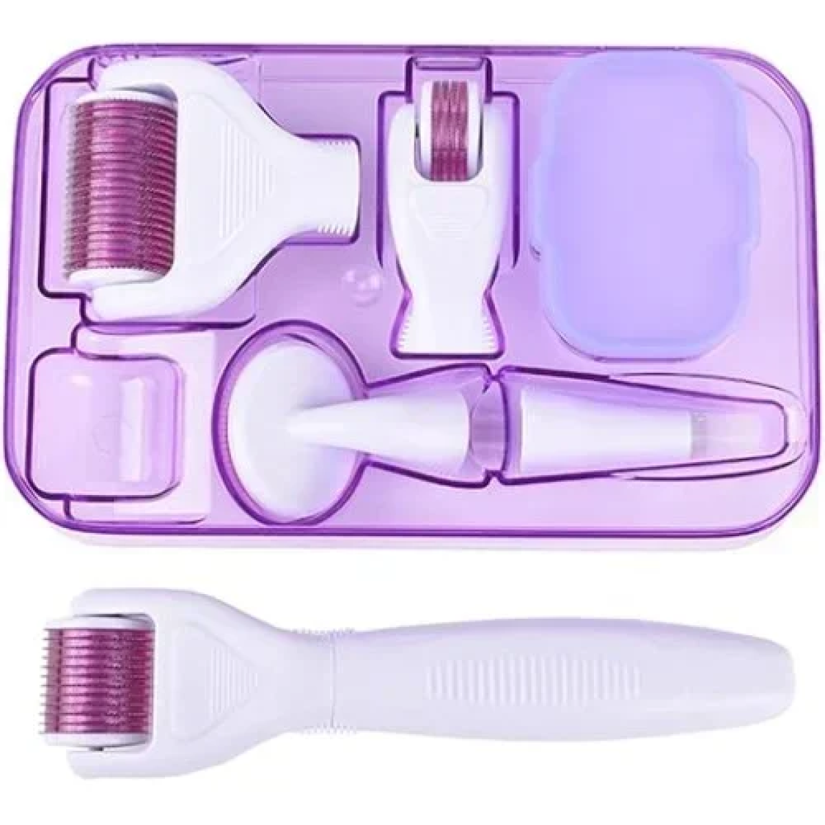 Σετ 6 σε 1 Derma Roller με βελόνες τιτανίου για Αντιγήρανση 0.5-2mm