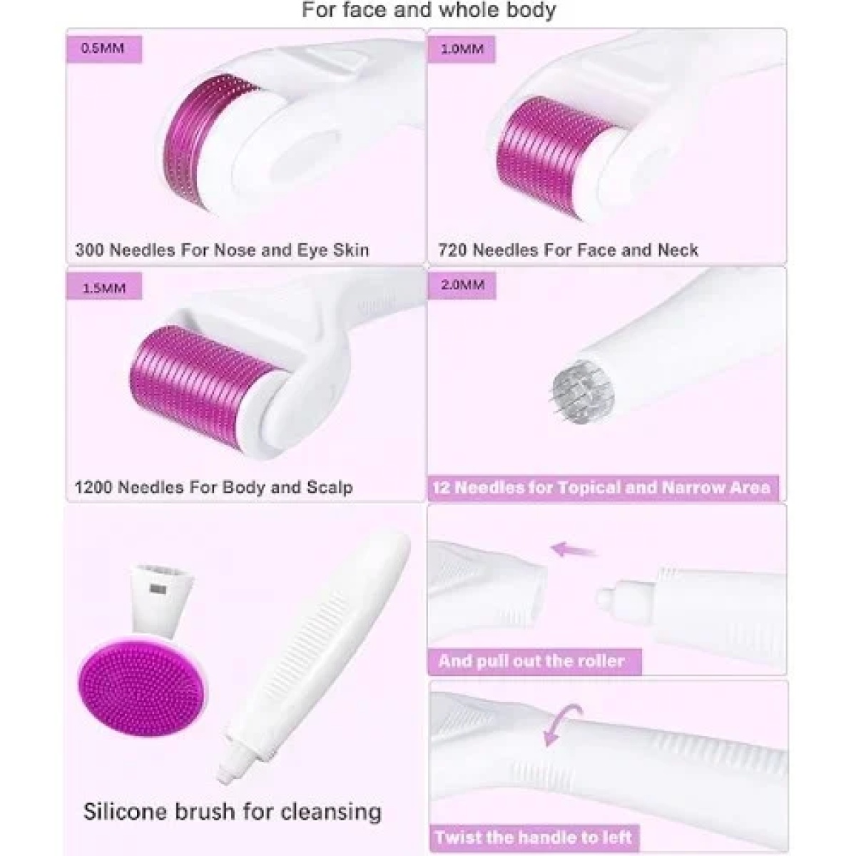 Σετ 6 σε 1 Derma Roller με βελόνες τιτανίου για Αντιγήρανση 0.5-2mm