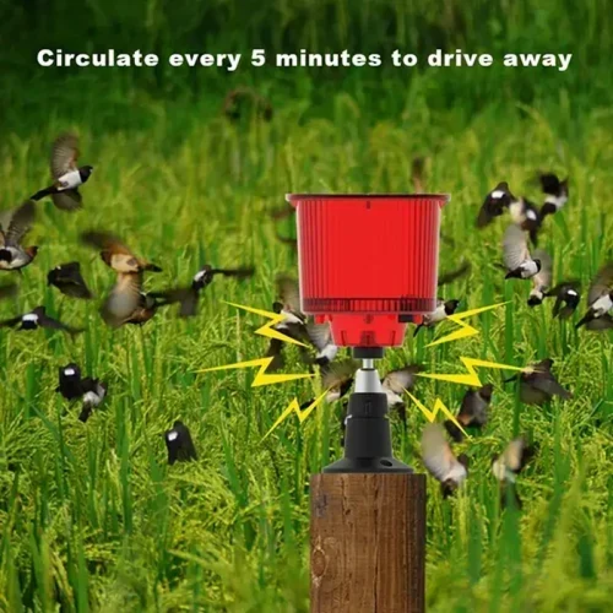 Ηλιακός συναγερμός εξωτερικού χώρου Solar Alarm Pir Outdoor Andowl Q-BJ900 κόκκινο - Image 3