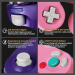Ενσύρματο Χειριστήριο για Wii Nintendo Gamecube