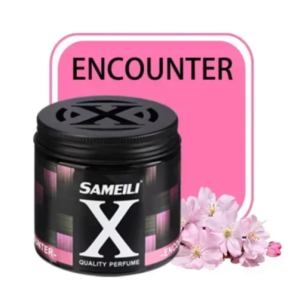 Αποσμητικό Αυτοκινήτου Αυτόματο Σπρέι 200g Sameili X Encounter