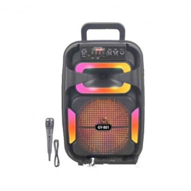 Ασύρματο Φορητό Ηχείο Bluetooth 8" 10W με Μικρόφωνο Karaoke & Τηλεχειριστήριο GY-801