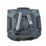 Φορητό Ηχείο Bluetooth 12'' με 2 Μικρόφωνα, Τηλεχειριστήριο & RGB LED φωτισμό DG-W1209