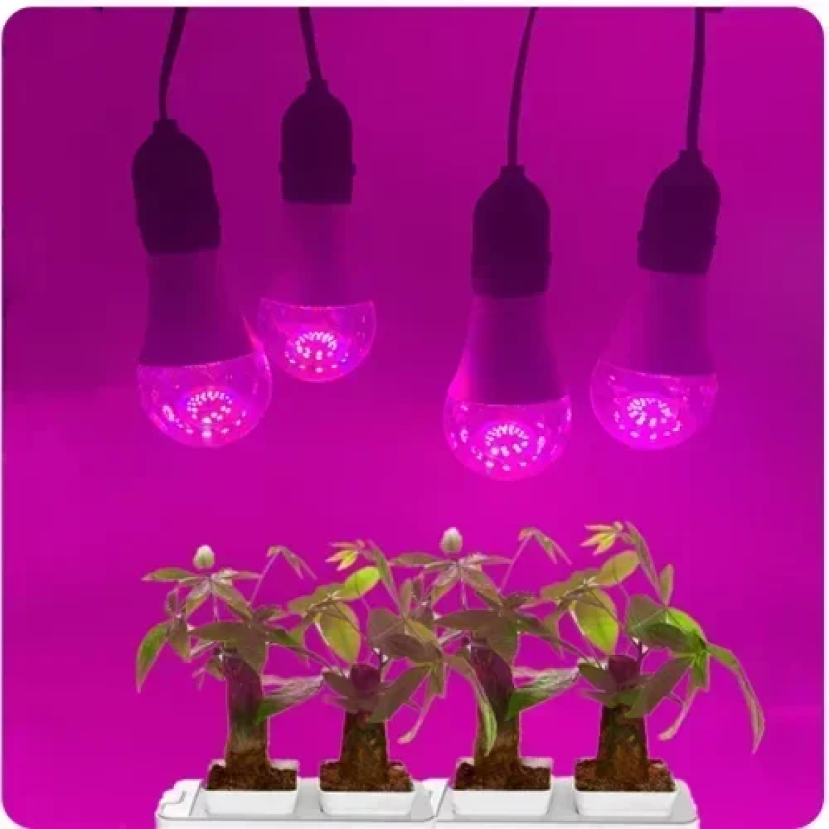 Λαμπτήρες Smart Bulb LED για ανάπτυξη φυτών TUYA-Α60-9W λευκό - Image 3