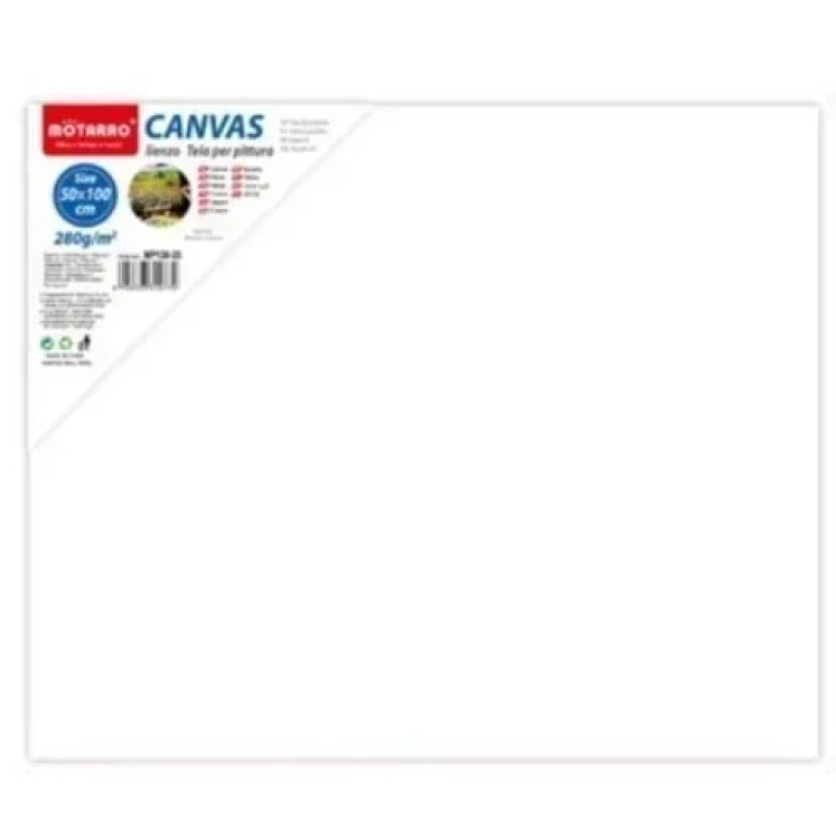 Πίνακας ζωγραφικής - καμβάς σε τελάρο100x50cm MP130-23 λευκό