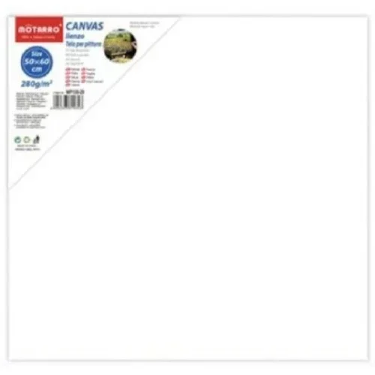 Πίνακας ζωγραφικής - καμβάς σε τελάρο 60x50cm MP130-20 λευκό