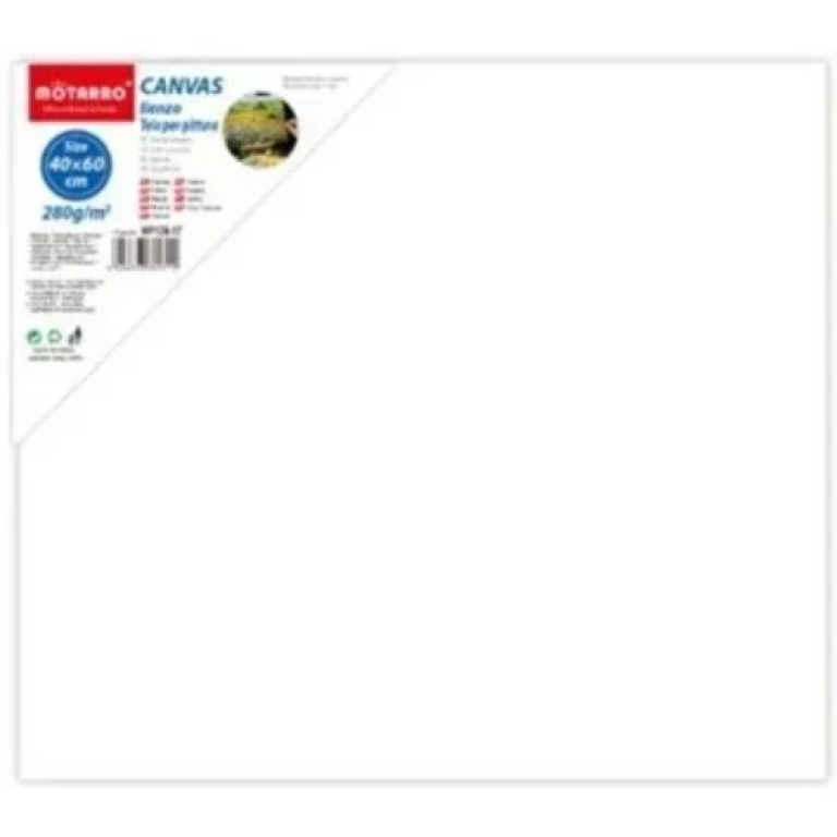 Πίνακας ζωγραφικής - καμβάς σε τελάρο 60x40cm MP130-17 λευκό