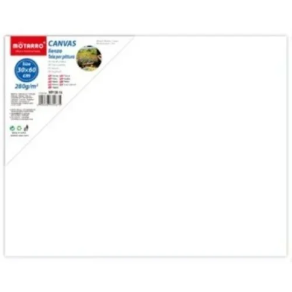 Πίνακας ζωγραφικής - καμβάς σε τελάρο 60x30cm MP130-14 λευκό