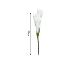 Διακοσμητικό φτερό - Dried Flower 110cm σε λευκό χρώμα SDS-25042