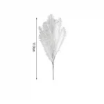 Διακοσμητικό φτερό - Dried Flower 110cm σε λευκό χρώμα SDS-25045