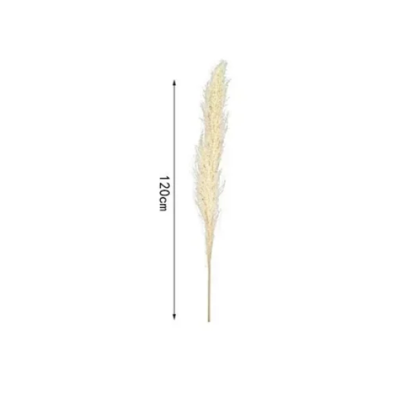 Διακοσμητικό φτερό - Dried Flower 120cm σε μπεζ χρώμα SDS-25038