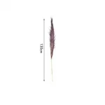 Διακοσμητικό φτερό - Dried Flower 130cm σε μπορντό χρώμα SDS-25036