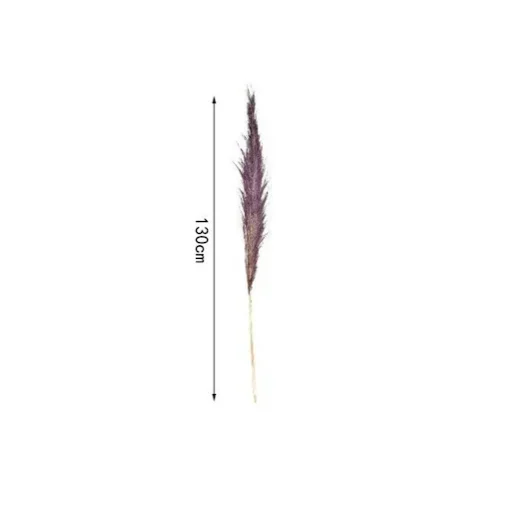 Διακοσμητικό φτερό - Dried Flower 130cm σε μπορντό χρώμα SDS-25036