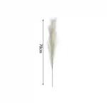 Διακοσμητικό φτερό - Dried Flower 70cm σε λευκό χρώμα SDS-25054