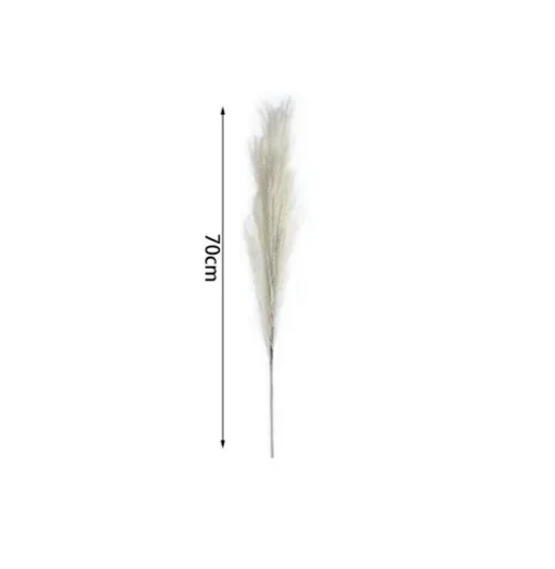 Διακοσμητικό φτερό - Dried Flower 70cm σε λευκό χρώμα SDS-25054