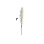 Διακοσμητικό φτερό - Dried Flower 70cm σε λευκό χρώμα SDS-25055