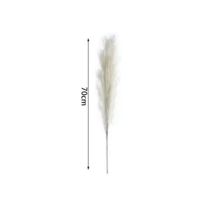 Διακοσμητικό φτερό - Dried Flower 70cm σε λευκό χρώμα SDS-25055