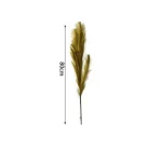 Διακοσμητικό φτερό - Dried Flower 80cm σε καφέ χρώμα SDS-25053