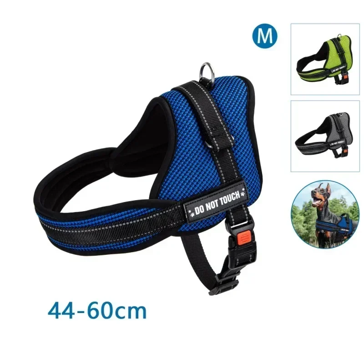 Σαμαράκι Σκύλου Επιστήθιο K8 Μedium 44-60cm Μπλέ