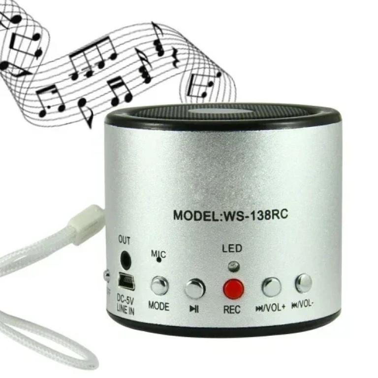 Φορητό ηχείο WS-138RC με microSD/USB Player και ραδιόφωνο - Ασημί