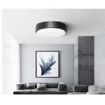 Πλαφονιέρα οροφής LED 12W Ø23cm μαύρο