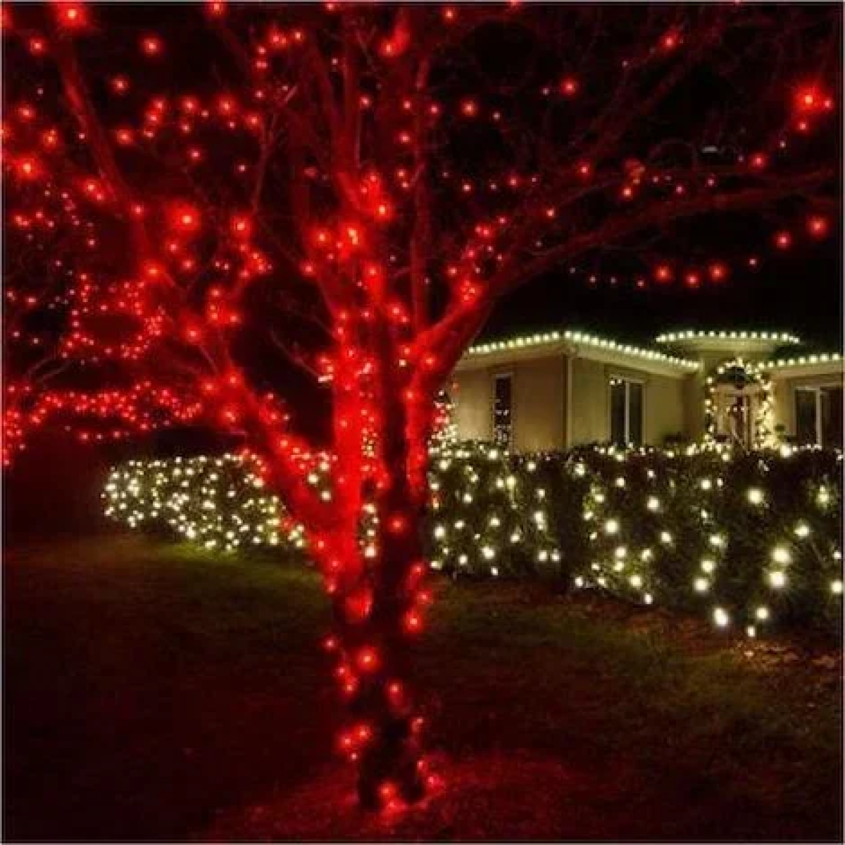 100 Χριστουγεννιάτικα Λαμπάκια LED Κόκκινα με διάφανο καλώδιο 17271-41