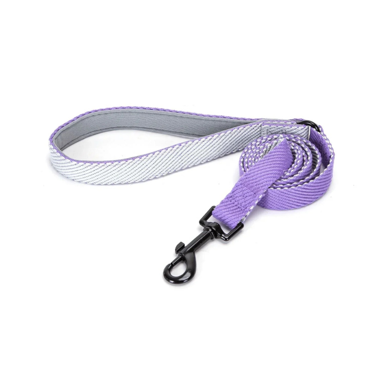 Λουρί Σκύλου W2*L120cm Medium Μώβ