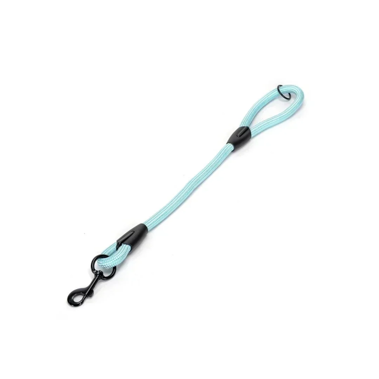 Λουρί Σκύλου Χοντρό Κοντό Fluo Large D2,2*L60cm Γαλάζιο