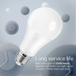 LED Λάμπα Aigostar A60 E27 11W 6400K 2τμχ