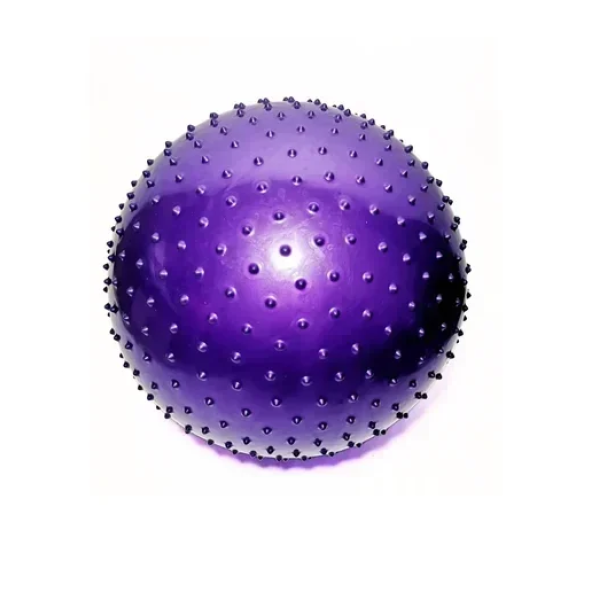 Μπάλα Γυμναστικής Yoga/Pilates 55cm Μωβ