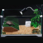 Σκάλα για Χελώνες L8*W14cm Small