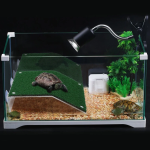 Σκάλα για Χελώνες L20*W21cm Medium