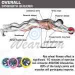Ρόδα Κοιλιακών Κόκκινη με Αντιολισθητικές Λαβές και Στρώμα για τα Γόνατα