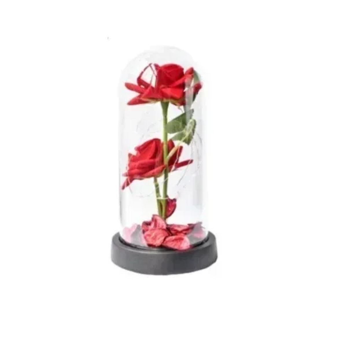Σετ με Rose Bear, Τριαντάφυλλα με LED Φωτισμό σε Γυάλινο Θόλο & Κουτί Δώρου για Κόσμημα