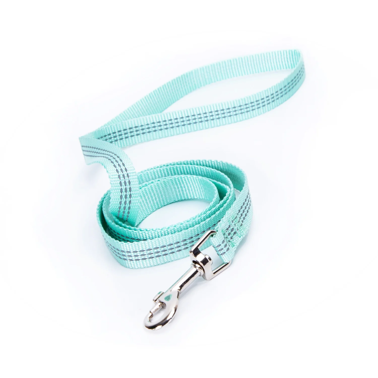 Ανακλαστικός Οδηγός για Σκύλους W1,5*L120cm Medium Γαλάζιο