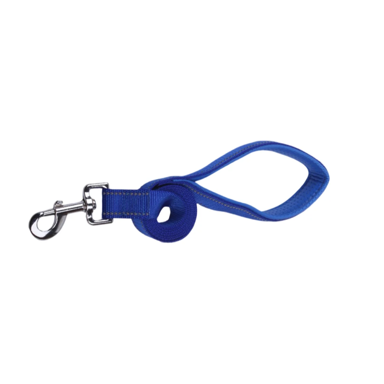 Λουρί με Ανακλαστική Λωρίδα για Σκύλους W1.5*L120cm Small Μπλέ