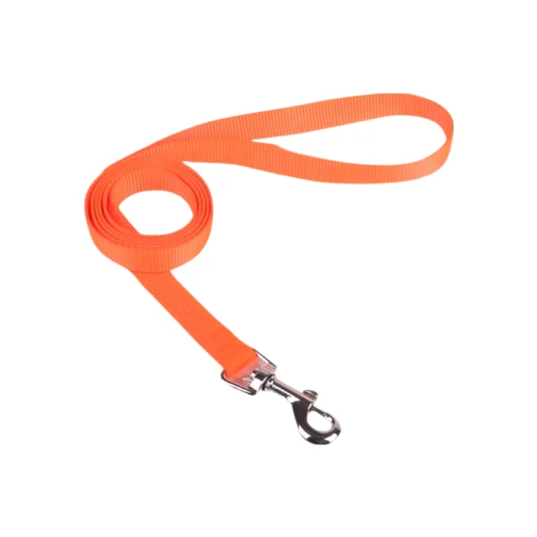 Λουρί Συνθετικό για Σκύλους W1.5*L120cm Small Πορτοκαλί