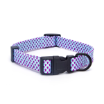 Περιλαίμιο για Σκύλους W1.0*L20-30cm Small Γαλάζιο/Μώβ