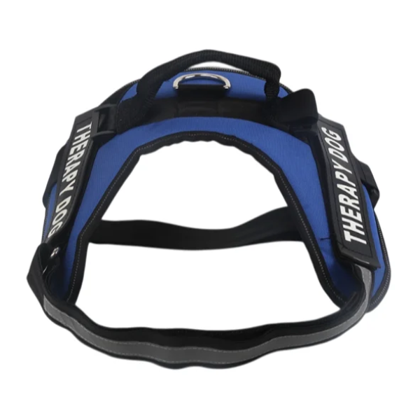 Σαμαράκι για Σκύλους με Λαβή L56-66cm Medium Μπλέ