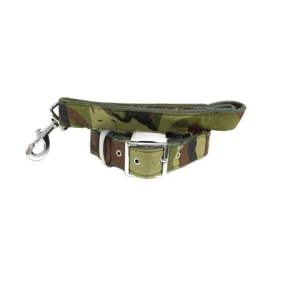Σετ Νάιλον Περιλαίμιο L39-49cm και Οδηγός L120cm για Σκύλους Πράσινο
