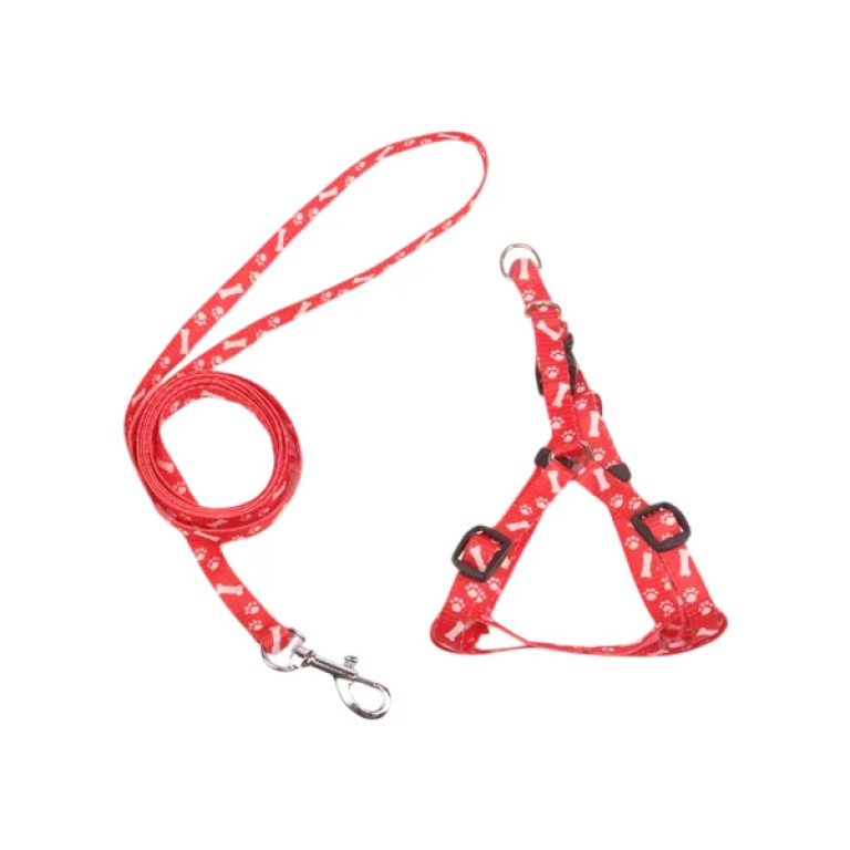Σετ Σαμαράκι W1.0*L25-40cm και Οδηγός W1.0*L120cm για Σκύλους Small Κόκκινο