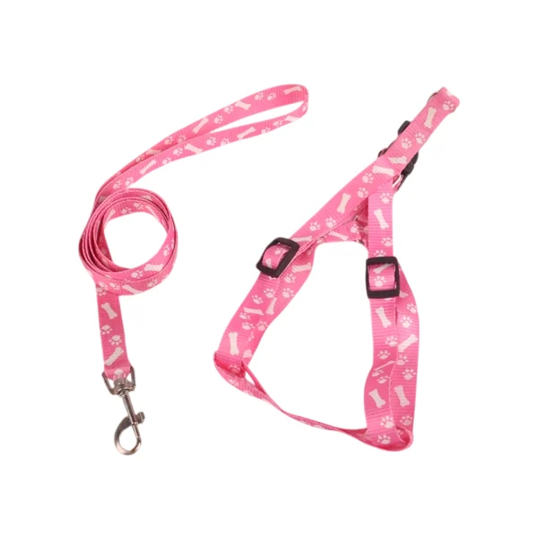 Σετ Σαμαράκι W1.0*L25-40cm και Οδηγός W1.0*L120cm για Σκύλους Small Ρόζ