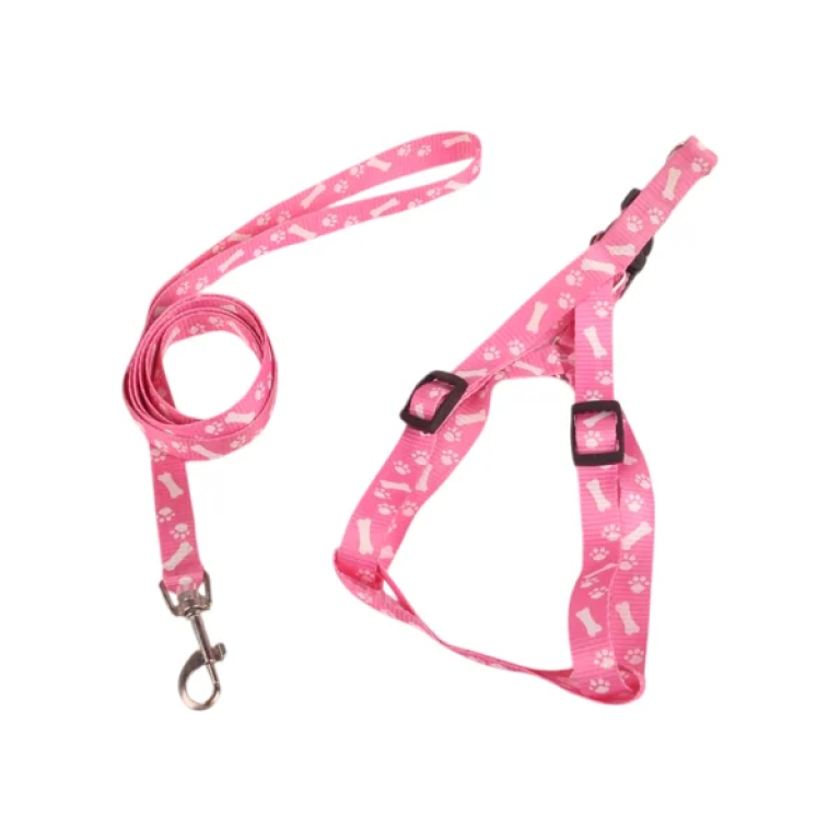 Σετ Σαμαράκι W1.0*L25-40cm και Οδηγός W1.0*L120cm για Σκύλους Small Ρόζ