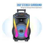 Φορητό Ηχείο Subwoofer με Μικρόφωνο Καραόκε GY-1201